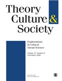 Theory Culture & Society雜志