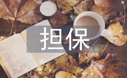 擔(dān)保合同書