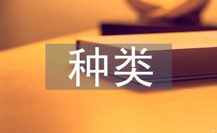 英文簡(jiǎn)歷英文簡(jiǎn)歷的種類