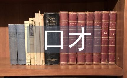 口才培訓(xùn)總結(jié)