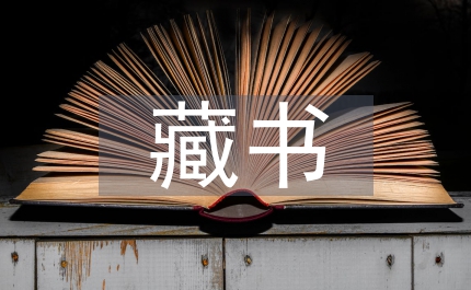 藏書結(jié)構(gòu)