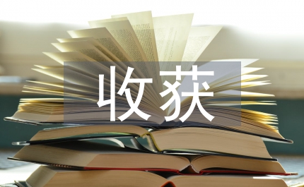 收獲的季節(jié)——沈陽市五一黃金周總結(jié)