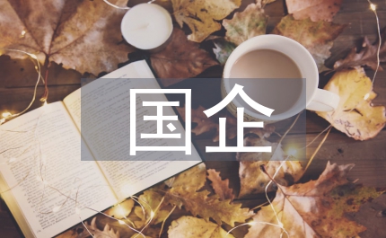 國(guó)企產(chǎn)權(quán)制度改革管理