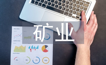 加強(qiáng)鐵礦業(yè)運(yùn)費(fèi)稅收管理的思考和意見