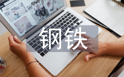 鋼鐵企業(yè)財(cái)務(wù)風(fēng)險(xiǎn)管理論文