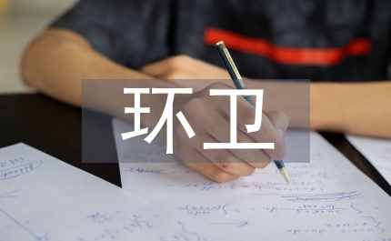 建設(shè)局環(huán)衛(wèi)一體化整治方案