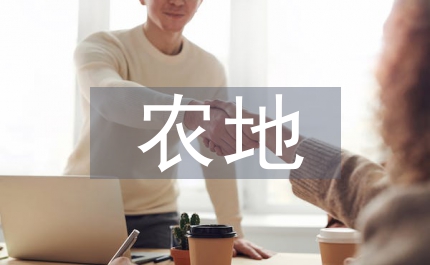 農(nóng)地流轉(zhuǎn)中的權(quán)力尋租