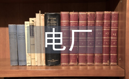 電廠領(lǐng)導(dǎo)管理效益年述職報(bào)告