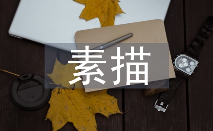 藝術(shù)設(shè)計(jì)素描教學(xué)論文