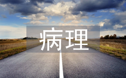 腎穿刺活檢病理遠(yuǎn)程診斷實(shí)施標(biāo)準(zhǔn)