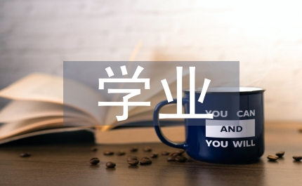 學(xué)業(yè)規(guī)劃指導(dǎo)管理