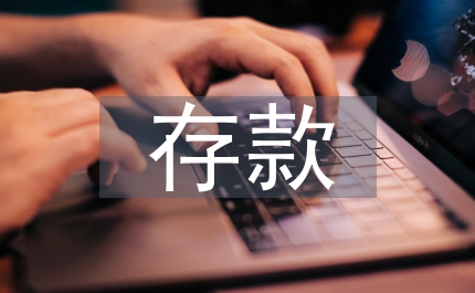 存款保險(xiǎn)與金融市場(chǎng)的均衡研究