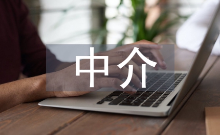 二語習(xí)得中介語石化現(xiàn)象探討論文