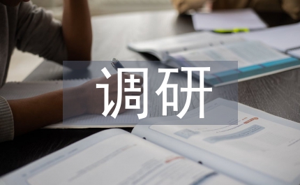 廠迎接集團公司書記調(diào)研匯報材料